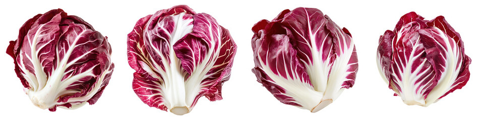 Obraz premium Fresh Radicchio Heads, isolated on transparent background.