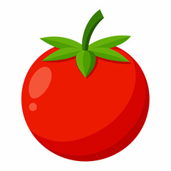 tomato on a white background