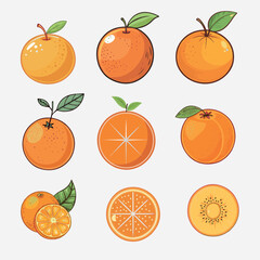 Fresh Fruit vector