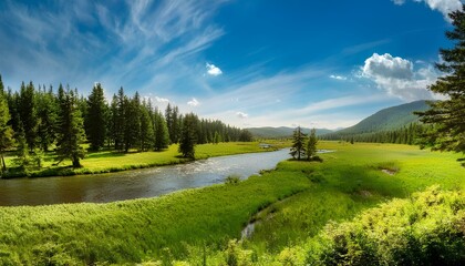 Naklejka premium summer landscape with river and forest.