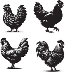 Silhouette of Sunny Hen isolated on white background