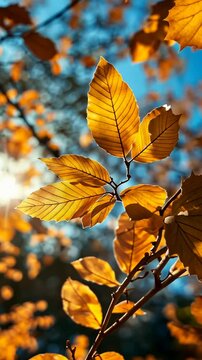 Golden autumn leaves illuminated by sunlight against a blurred background of nature