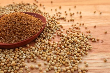 Powdered coriander (Coriandrum sativum) in a wooden bowl and some coriander seeds scattered around it, close up view.