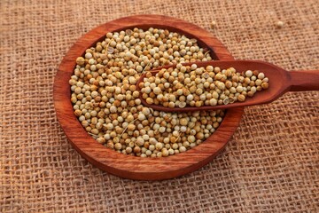 Coriander seeds (Coriandrum sativum) in a wooden bowl and some scattered around it, close up view.