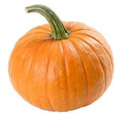 Obraz premium Ripe Orange Pumpkin with Green Stem