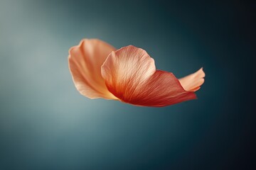 A delicate pink flower with a soft blurred effect, creating a romantic and artistic image.