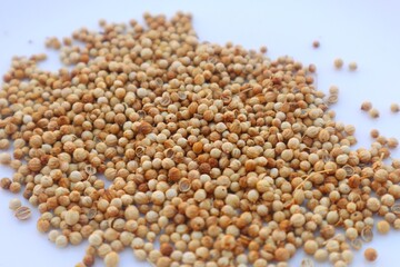 Coriander (Coriandrum sativum) Seed shape close up.
