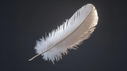 Obraz premium Single White Feather on a Pale Green Background Illustration 