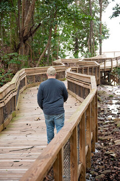 Man walking along a winding wooden boardwalk in a forest setting