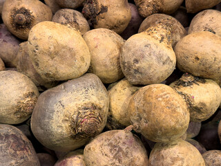 Fresh beetroot reaches stores in the autumn months of September and October and can therefore be...