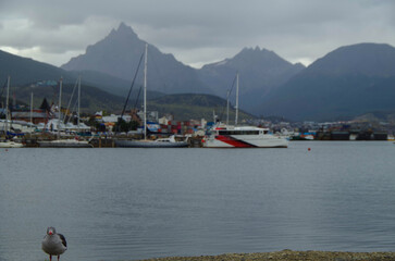 Obraz premium Panoramic scenic nature landscape cityscape scenery in Ushuaia, Patagonia in Terra del Fuego National Park in South America Argentina with breathtaking mountain view and city skyline harbor port