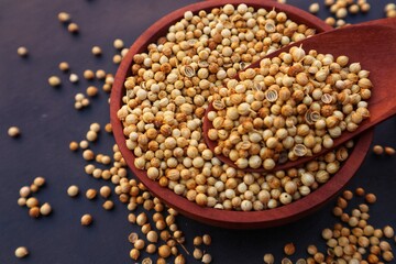 Coriander or Coriandrum sativum in a wooden bowl and some scattered around it, with black background and close up view.