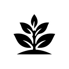 Growth and Renewal:  A bold, minimalist black and white illustration of a single, flourishing plant, symbolizing growth, new beginnings, and the potential for change.  