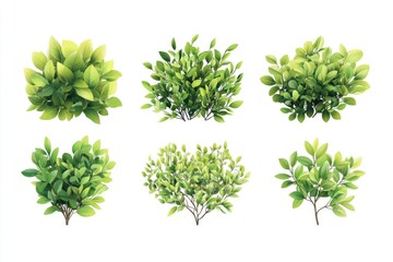 Naklejka premium Illustrations of various sized green trees and foliage, each with multiple branches.