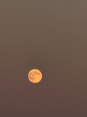 full moon in the night
