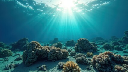 Naklejka premium Underwater coral reef ecosystem with diverse marine life and sunlight rays 