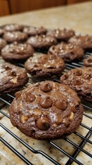 Fototapeta premium Scrumptious Chocolate Chip Cookies - Homemade Delight
