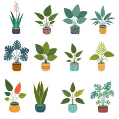 A vibrant 3x4 grid of twelve distinct potted houseplants, showcasing diverse leaf shapes and colors, illustrating the variety of indoor plant designs