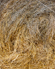 The image is of a bunch of dry grass with a brownish color
