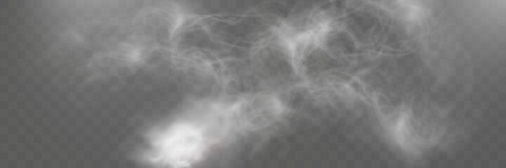Realistic white smoke or mist effect with soft, swirling patterns on a transparent background. Perfect for overlays and atmospheric designs.	