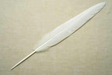 The Graceful Presence of a White Feather Quill Pen on a Soft Beige Backdrop.