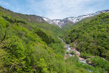 新緑眩しい初夏の白山 © shomomo