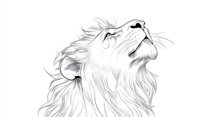 Majestic Lion Line Art Illustration with Powerful Expression
