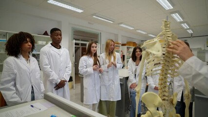 Medical students studying human skeleton anatomy in laboratory