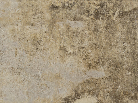 Rugged Limestone Texture with Detailed Organic Patterns and Natural Color Variations