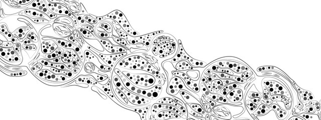 Modern monochrome abstract frame. Vector illustration featuring chaotic waves, particles, circles arranged in neuro-graphic style. Perfect for business, technology, medical presentations, posters.
