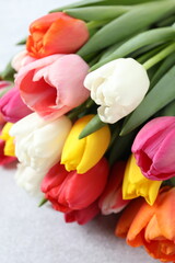 Beautiful fresh tulips on white background