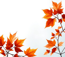 A minimalist botanical composition featuring vibrant orange maple leaves on delicate branches against a soft, neutral background.