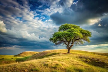 Fototapeta premium Serene Landscape Featuring a Lone Deciduous Tree on Rolling Hills Under a Dramatic Sky