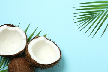 Coconut on color background, top view