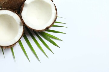 Coconut on white background, top view