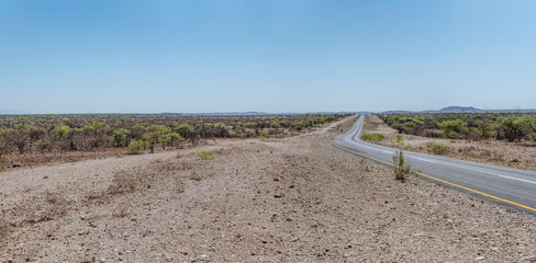 road C29 bending in green countryside, near Khorixas, Namibia
