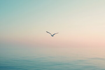 Fototapeta premium Seagull glides gracefully across a calm ocean under a pastel sky at dusk, seagull flies in a clear peaceful sky