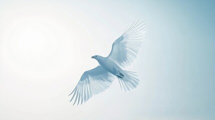 Obraz premium Majestic White Bird Soaring in a Clear Blue Sky Overhead