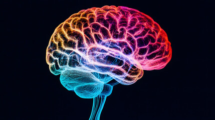 vibrant, colorful representation of human brain showcasing neural connections and activity. This artistic depiction emphasizes creativity and intelligence