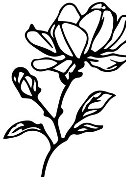 recommend clip art: Minimalist magnolia flower line art single continuous line