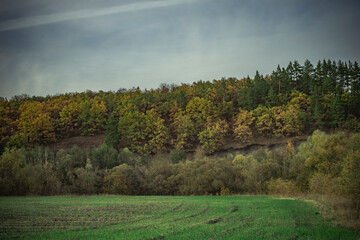 Fototapeta premium warm autumn in rural areas