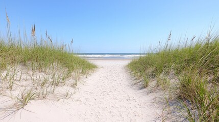 Beach path leading to ocean, sunny day, tranquil scene. Ideal for nature, travel, vacation, and tranquility concept images.