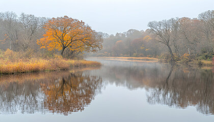 Obraz premium Serene autumnal landscape reflecting in a still lake, featuring a vibrant orange tree amidst muted browns and grays. Misty atmosphere evokes tranquility.
