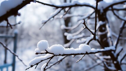 Snow-Covered Branches in Winter Wonderland