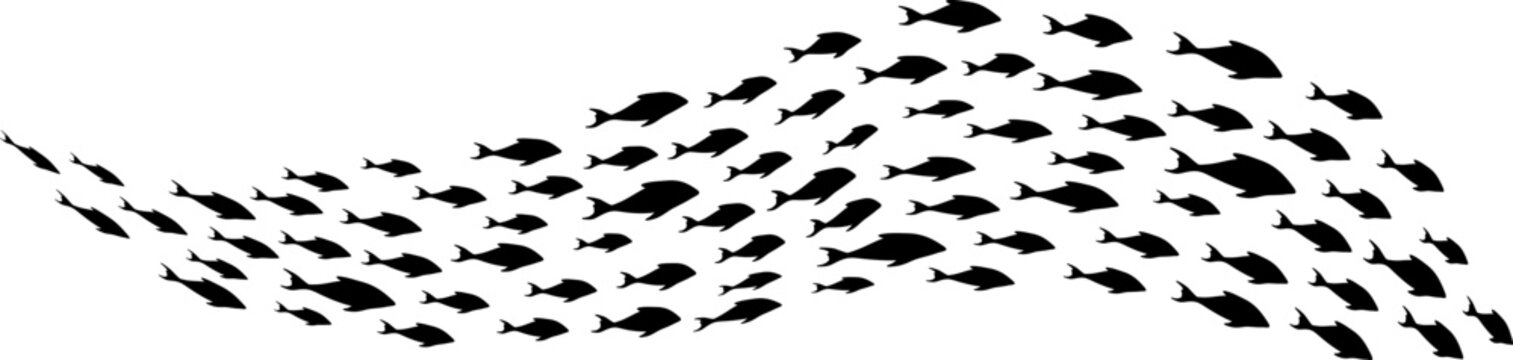School of Fish Formation Silhouette Illustration Vector