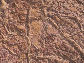 Excavation rock surfaces destroy the environment