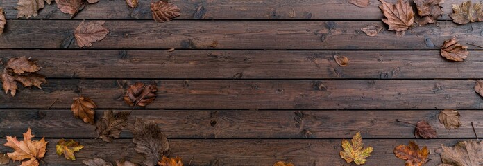 A rustic dark wood banner background with copy space features a natural autumn double border consisting of pumpkins and leaves in a top view