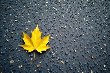 A solitary autumn leaf rests on a textured surface of small stones and pebbles