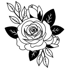 black and white rose