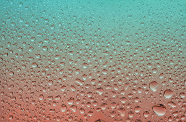 Cosmetic moisturizing liquid drops on blue red gradient pastel background. Toner or lotion. Hyaluronic serum